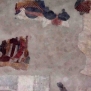 Avigliana-Chiesa di San Pietro-Navata centrale, parete Nord verso abside, Madonna Misericordia frammento --Navata centrale, parete Nord verso abside, Madonna Misericordia frammento