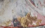 --Caltignaga Chiesa di San Salvatore Foto 21