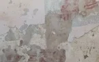 --Cavallermaggiore Chiesa di San Pietro Foto 23