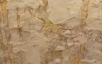 --Oleggio Chiesa della Natività di Maria Foto 25