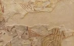 --Oleggio Chiesa della Natività di Maria Foto 26