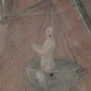 --