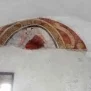 --Pianezza Chiesa di San Pietro Foto 50