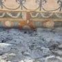 --Tracce di affreschi - Crocifissione - Dettagli