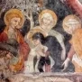 --Scarnafigi Chiesa della Santissima Trinità Foto 52
