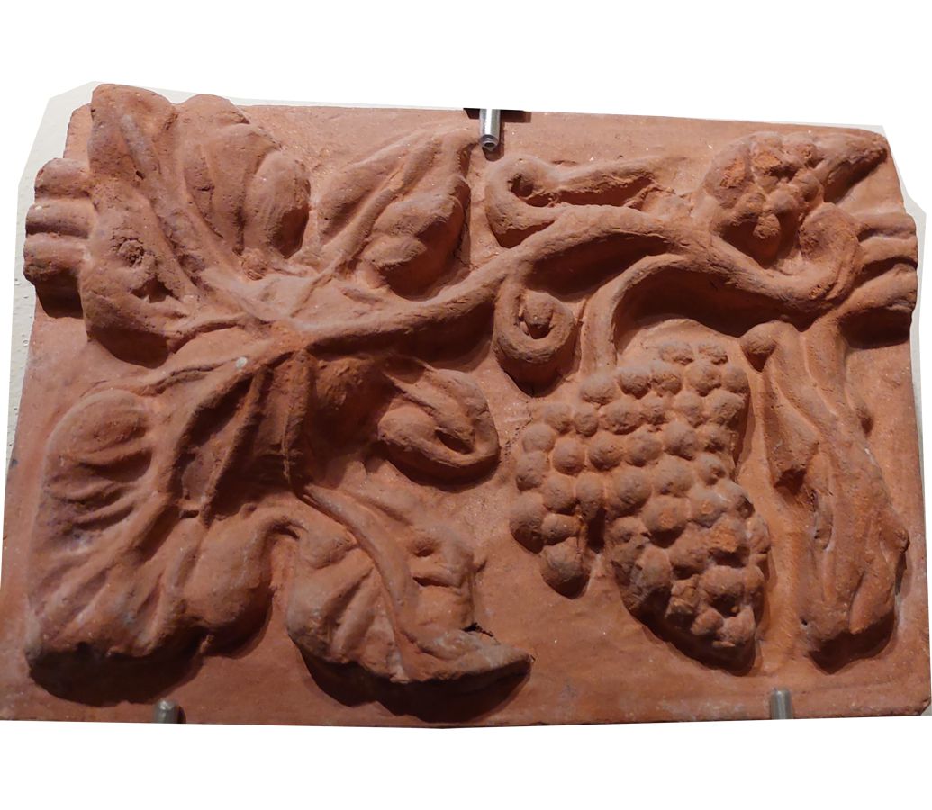 Uva - Torino - Museo di Palazzo Madama