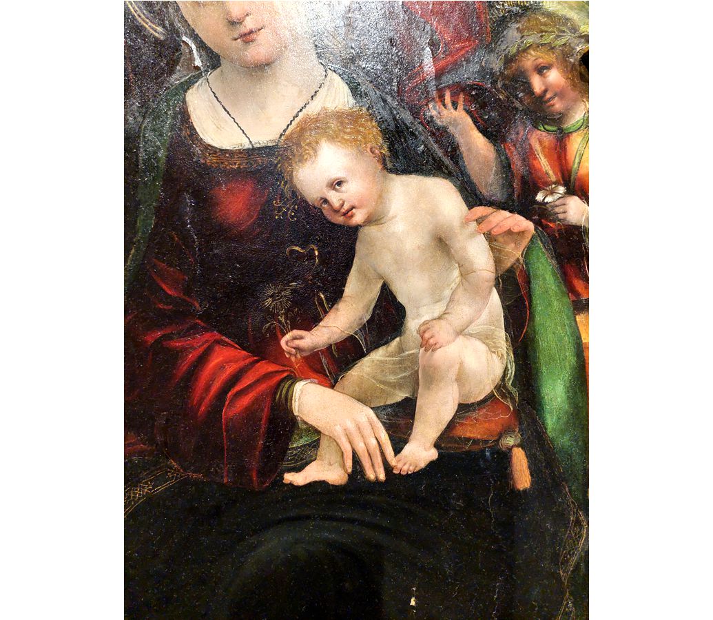 Tarassaco (Soffione di) - Torino - Palazzo Madama