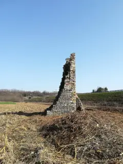 Ruderi - Resti della Cappella di San Pietro a Romagnano Sesia