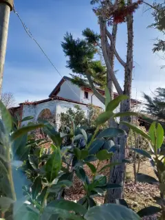 Facciata - Oratorio di San Rocco a Mandello Vitta