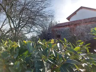 Fianco - Oratorio di San Rocco a Mandello Vitta