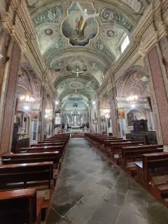 Interno - Parrocchiale di Sant'Andrea a Martiniana Po