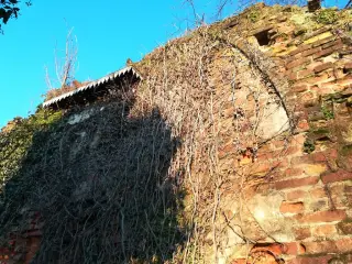 Resti - Ruderi della Antica Parrocchiale a Massazza
