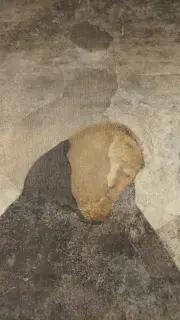 Madonna col Bambino dettaglio - Parrocchiale di Maria Vergine Assunta a Mondovì