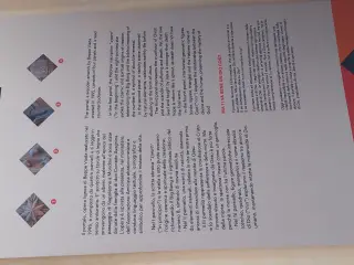 Pannello illustrativo - Priorato di San Biagio a MondovìFrazione San Biagio