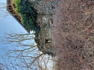 Abside - Chiesa di Sant'Anna e Pieve del Cauro a Montechiaro d'AcquiFrazione Piana
