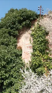 Abside - Pieve di San Vitale a Occimiano