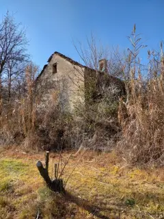 Abside - Chiesa di San Martino a Olmo GentileFrazione Lavagnini