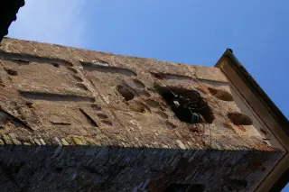 Campanile - Chiesa di Santa Maria a RoasioFrazione Santa Maria