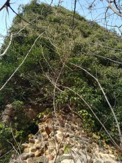 Ruderi campanile - Resti Della Pieve di San Pellegrino di Puliaco a Salussola