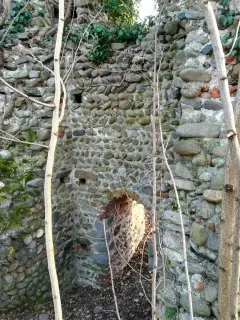 Ruderi - Resti della Pieve di San Pellegrino di Puliaco a Salussola