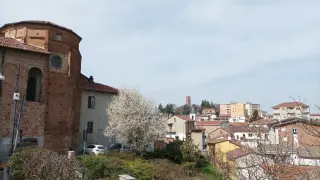 Abside - Parrocchiale di San Martino a San Salvatore Monferrato