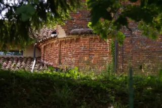 Abside - Ex Parrocchiale della Santissima Trinità a Sanfrè