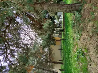 Fianco sinistro - Chiesa di San Marcellino a Sommariva Del Bosco