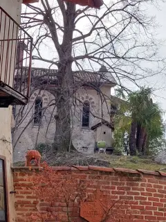 Fianco - Cappella di San Martino a Torre Canavese