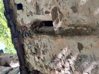 Monofora - Cappella di Sant'Onorato a ValmalaFrazione Gay