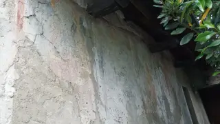 Affreschi - Chiesa di San Pietro Martire a Varallo