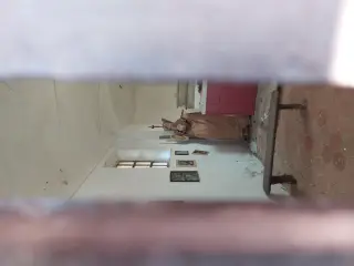 Interno - Cappella di Sant'Andrea a AstiFrazione Valmaggiore