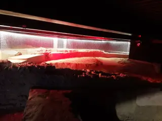 Resti dell'Abside - Basilica Paleocristiana di San Secondo a Torino