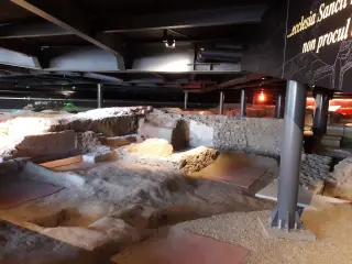 Vista d'insieme - Basilica Paleocristiana di San Secondo a Torino