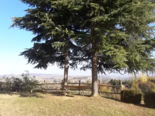 Panorama - Chiesa di San Martino a CunicoFrazione Bricco San Martino