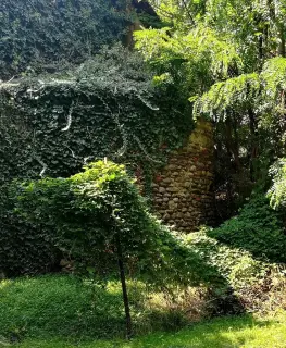 Abside dettaglio - Chiesetta di San Maurizio a Biella