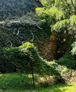 Abside dettaglio - Chiesetta di San Maurizio a Biella