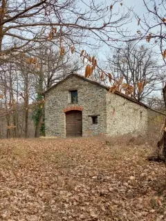 Facciata - Pieve di San Michele Arcangelo a MalvicinoFrazione Prazzini
