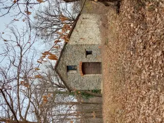 Facciata - Pieve di San Michele Arcangelo a MalvicinoFrazione Prazzini