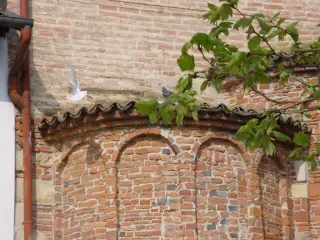 Abside, dettaglio - Chiesa di Santo Stefano a Castellazzo Bormida