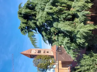 Campanile - Campanile della Antica Collegiata Stella Maris a Rivoli