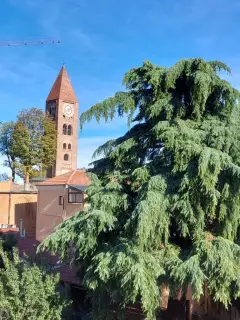 Campanile - Campanile della Antica Collegiata Stella Maris a Rivoli