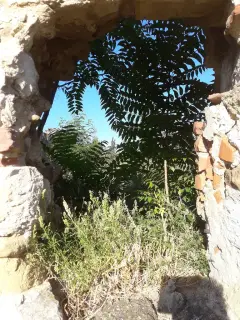 Interno da una monofora - Chiesa di San Martino di Castelvero a Piovà Massaia