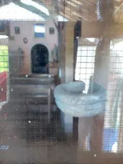 Interno da una finestrella - Cappella di Santa Brigida a Piasco