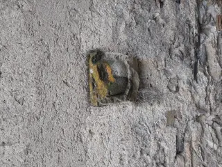 Inserto - Chiesa di San Giacomo a BellinoFrazione Chiesa