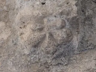 Peduccio scolpito - Parrocchiale di Sant'Antonio a PontechianaleFrazione Chianale