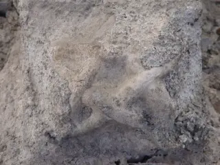 Peduccio scolpito - Parrocchiale di Sant'Antonio a PontechianaleFrazione Chianale