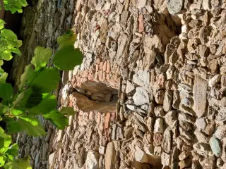 Piccola monofora tamponata sul fianco - Ex Chiesa di San Saturnino a Susa