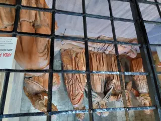 Pietà cinquecentesca - Cattedrale di Maria Assunta e San Gottardo a Asti