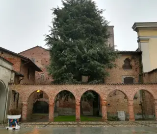 Chiostro - Chiesa di Santa Caterina o San Domenico a Trino