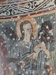 Affreschi - Chiesa o Oratorio di Santa Maria Assunta o al Piaggio a VilladossolaFrazione Piaggio